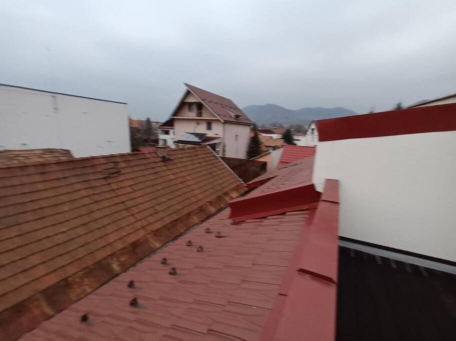 Old Town Studio 1 Apartment Nr 4 Baia Mare Exterior photo