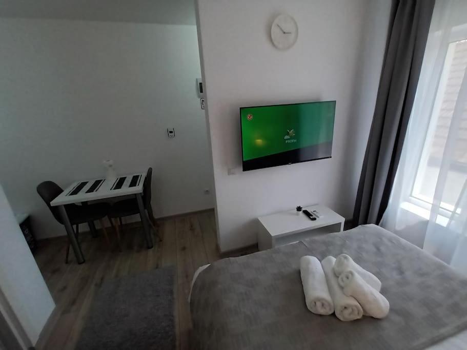 Old Town Studio 1 Apartment Nr 4 Baia Mare Exterior photo